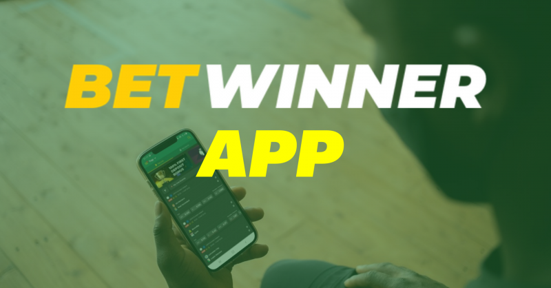Understanding the Dynamics of Sports Betting
